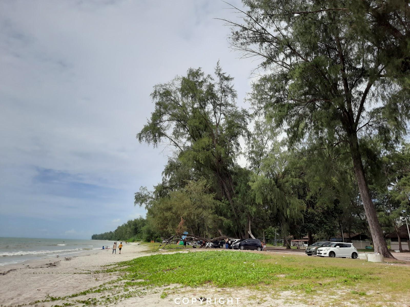 Sandee Pantai Tanjung Leman