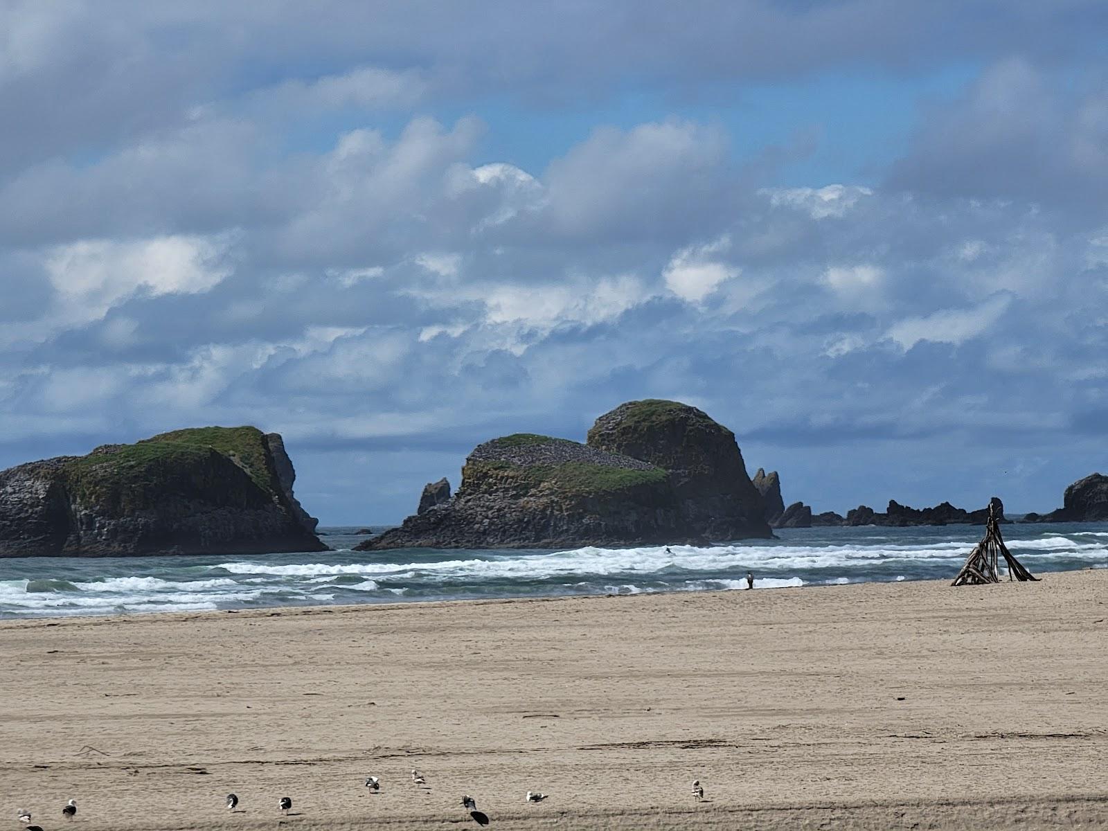 Sandee Chapman Beach Photo