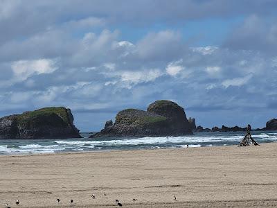 Sandee - Chapman Beach