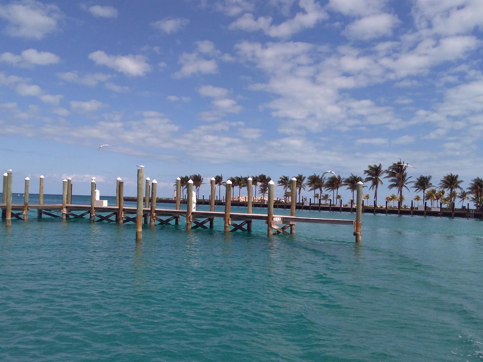 Sandee - North Cat Cay Beach