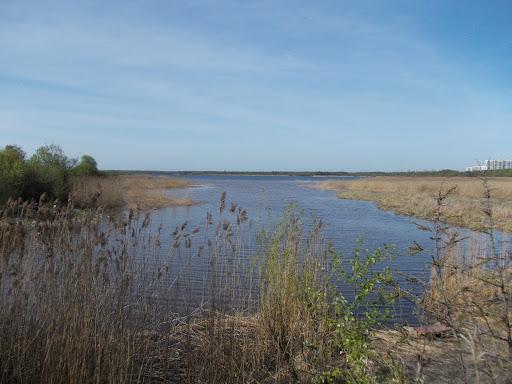 Sandee Yuntolovsky Reserve Photo