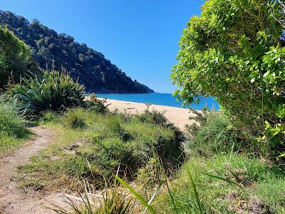 Sandee - Waiharakeke Bay