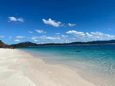 Sandee - Chalkie's Beach