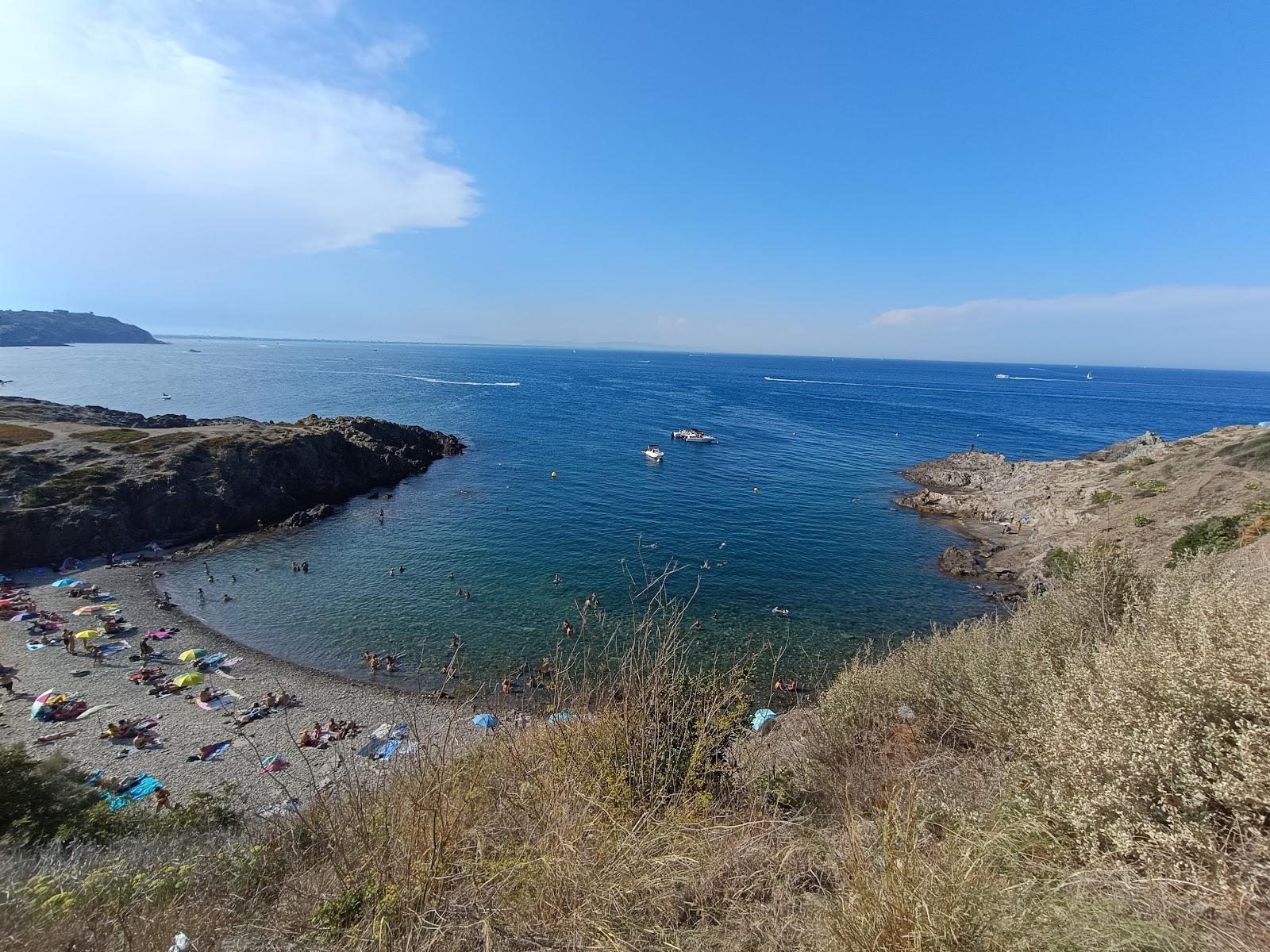 Sandee Plage D'En Baux Photo