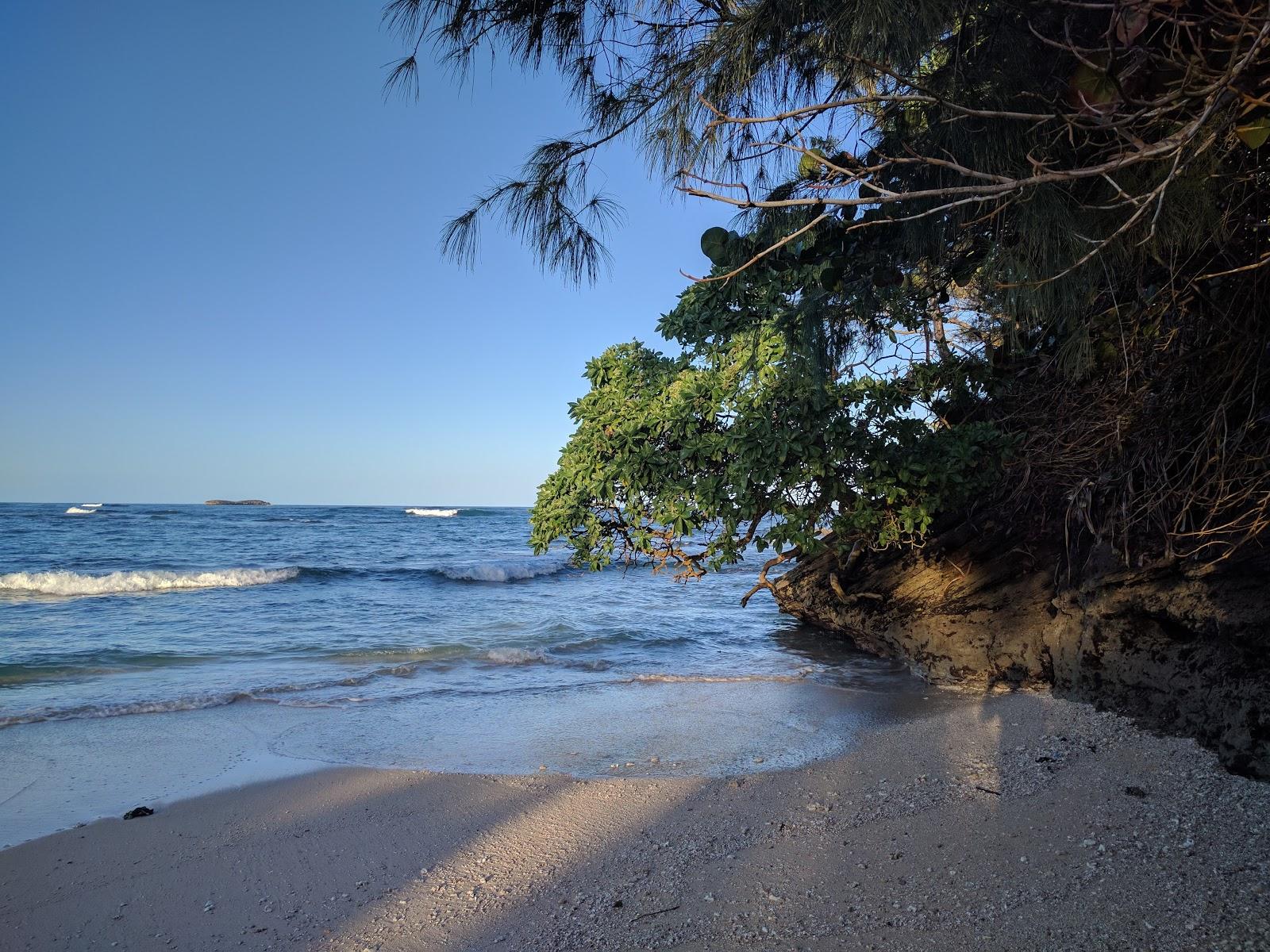 Sandee - Temple Beach Park