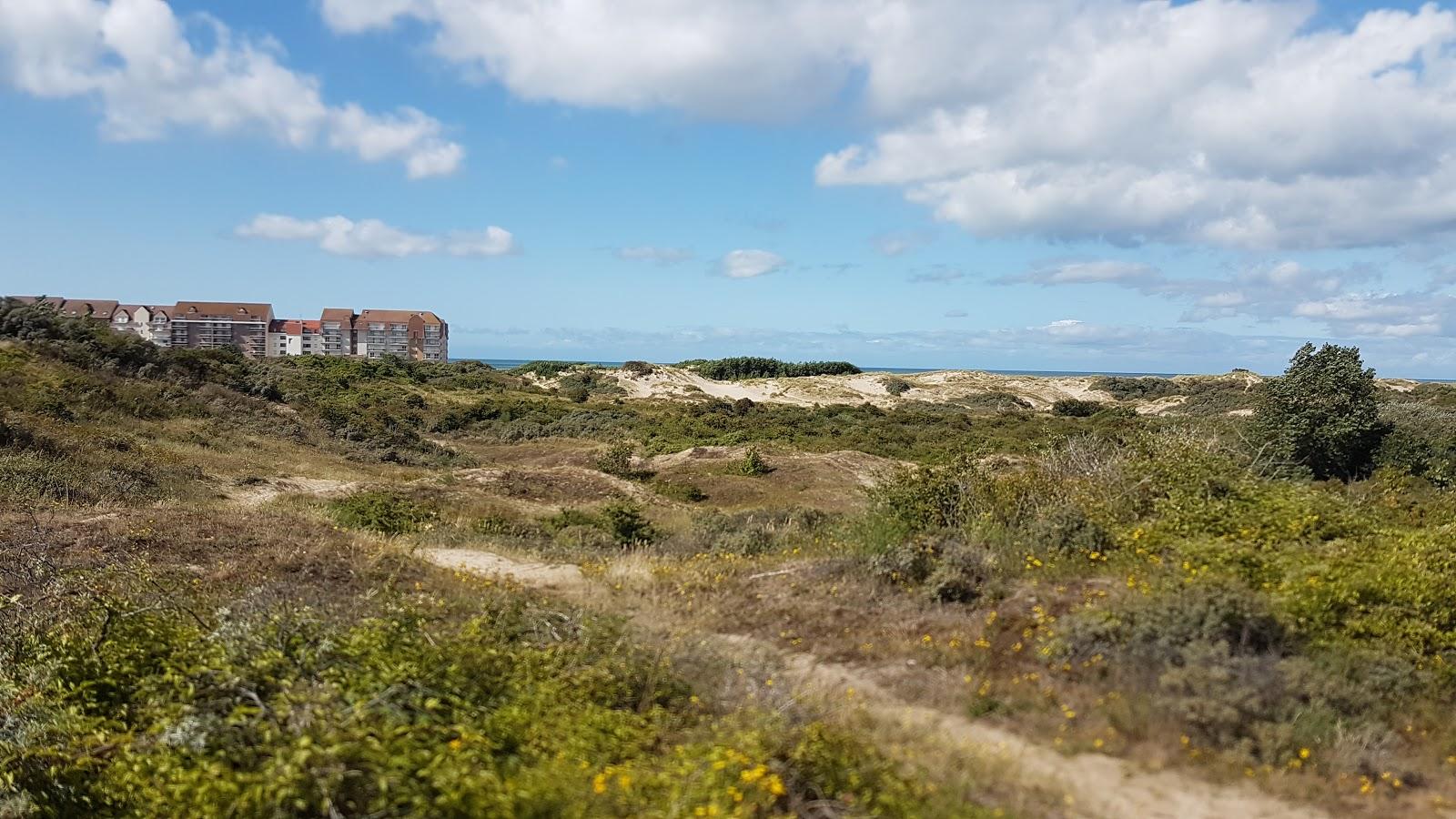 Sandee Plage Du Perroquet A Bray-Dunes Photo