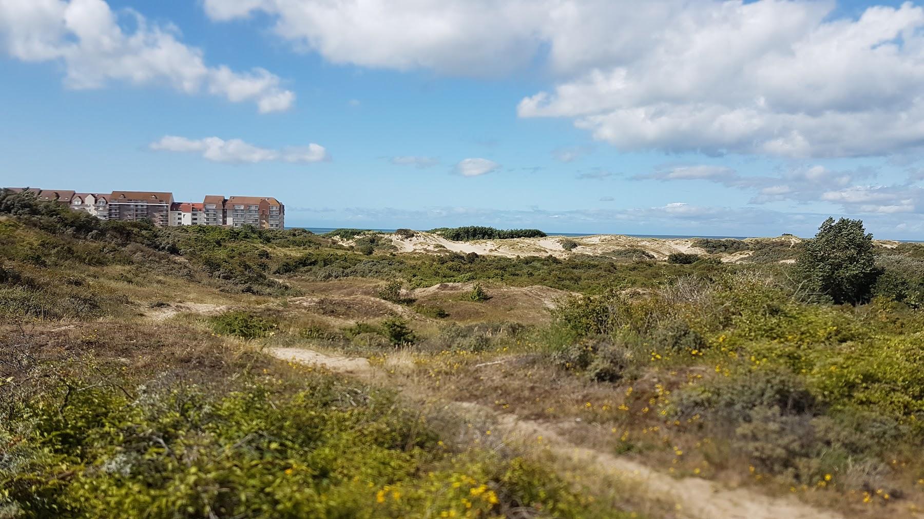 Sandee Plage Du Perroquet A Bray-Dunes