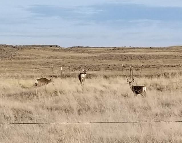 Sandee - Sprague Lake Public Access