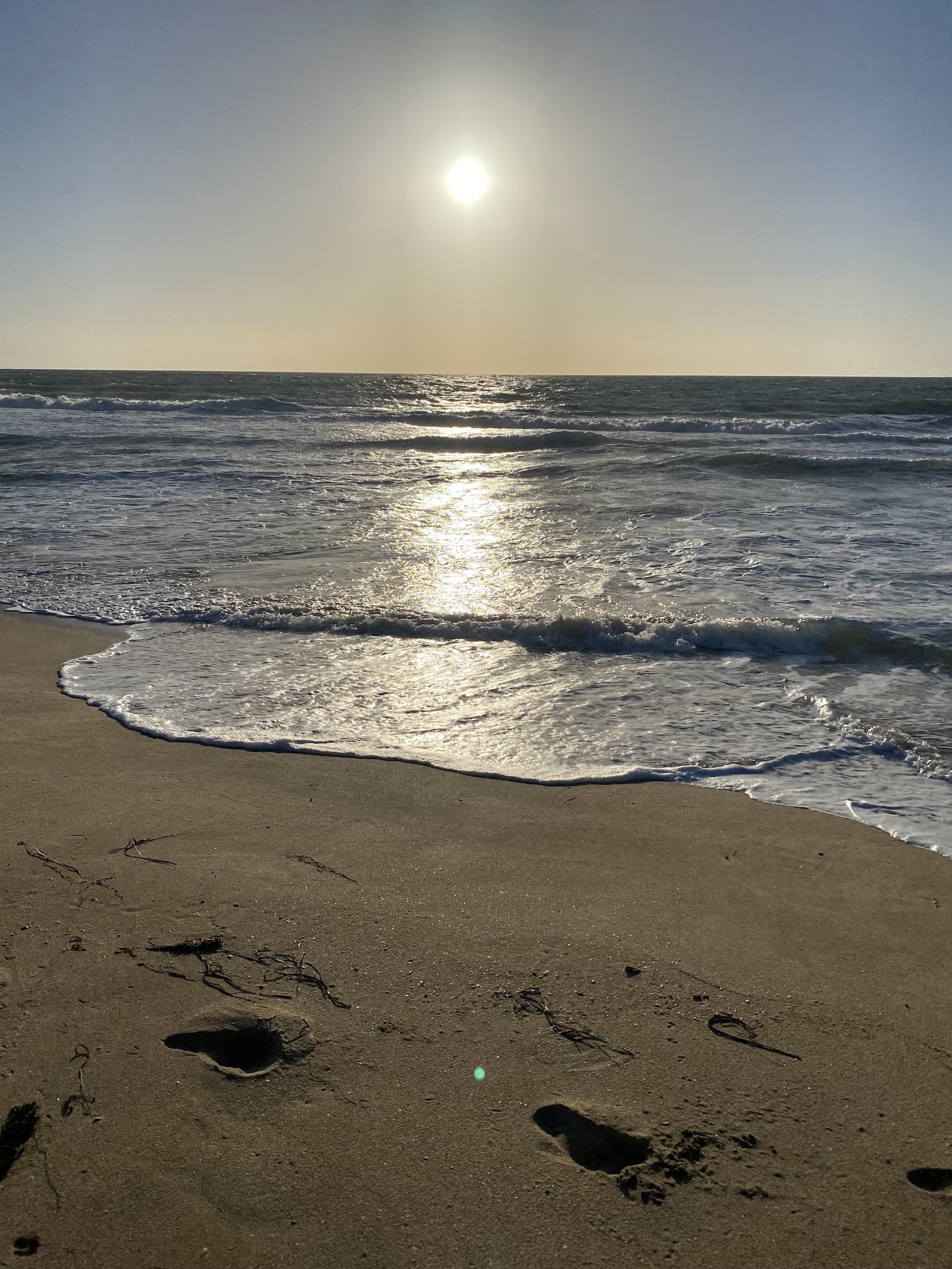 Sandee - Singleton Beach