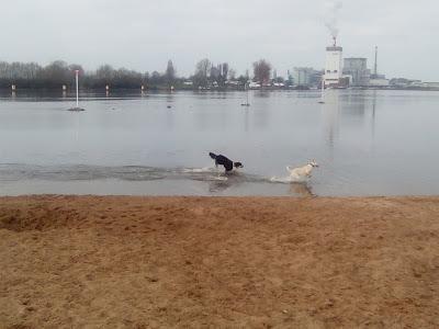 Sandee - Naturstrand Hemelingen