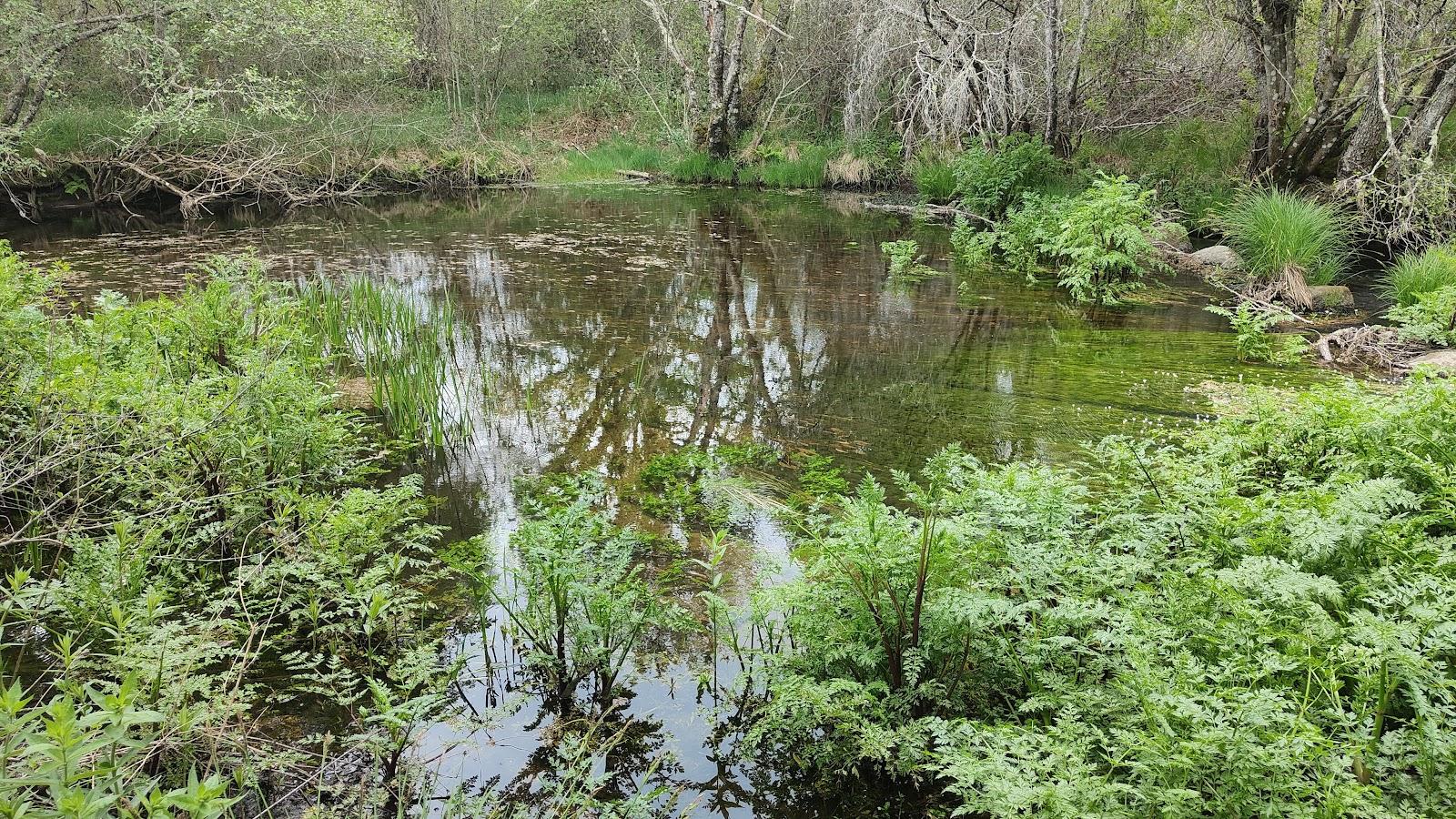 Sandee - Praia Fluvial Da Quinta Da Azenha