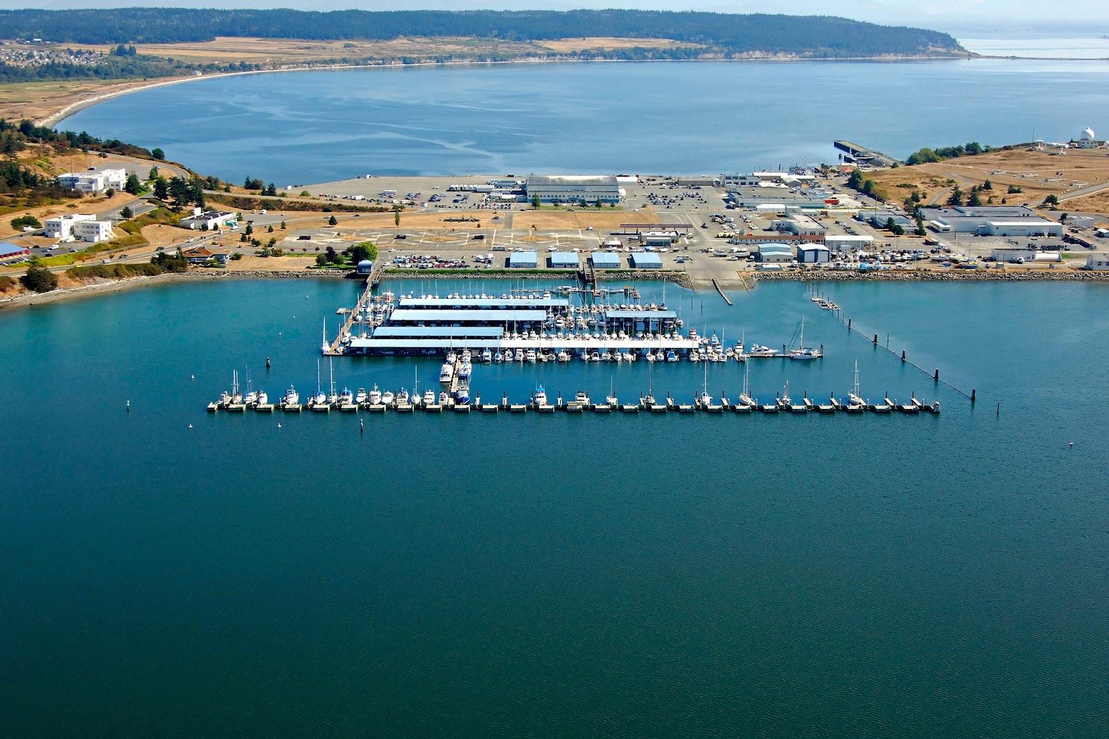 Sandee Oak Harbor City Marina Photo