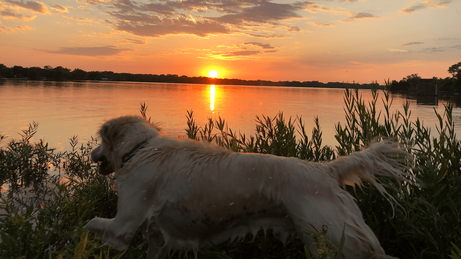 Sandee Santa Fe Lake