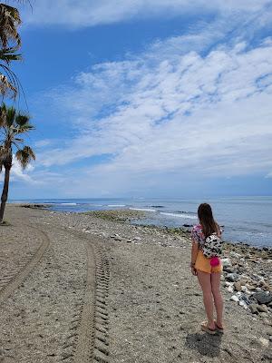 Sandee - Playa Del Cortijo Blanco