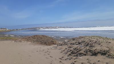 Sandee - Playa Mansa De Lomas