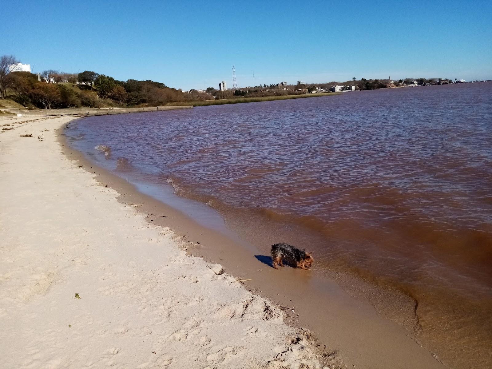 Sandee El Alamo Urban Beach Photo