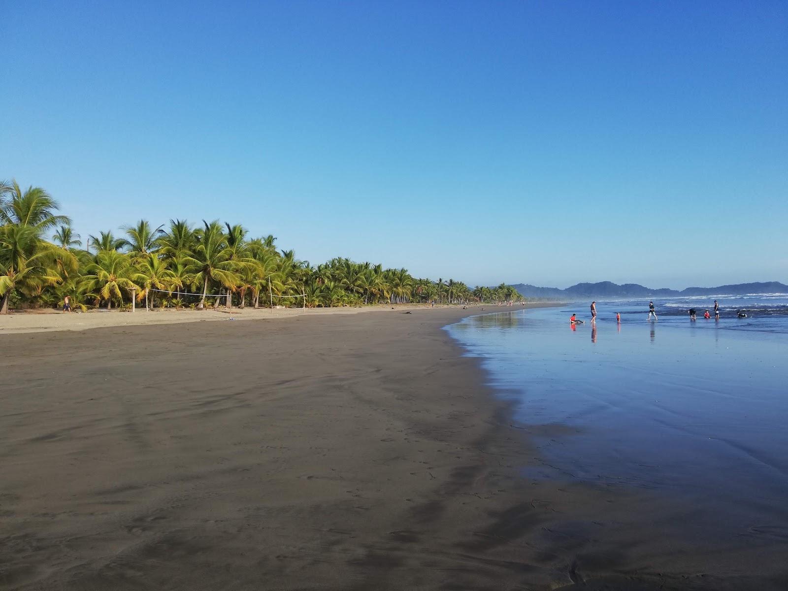 Sandee San Miguel Beach Photo