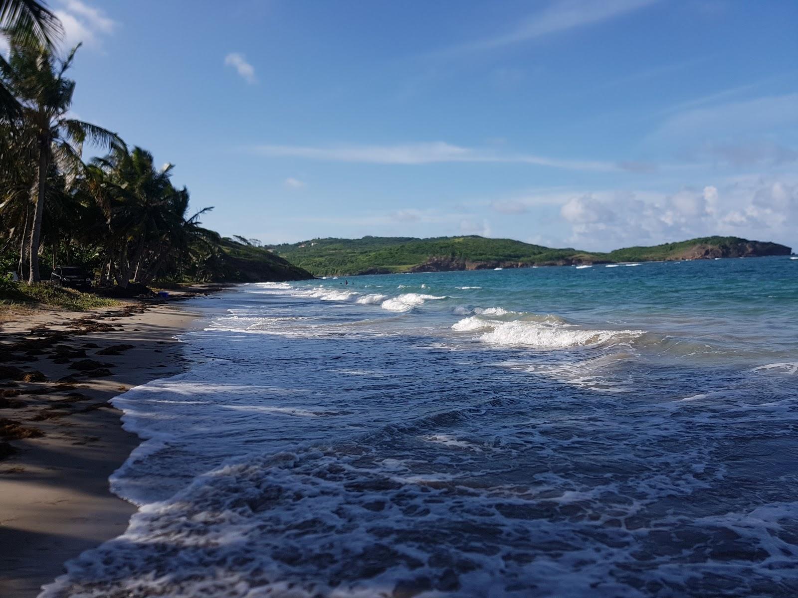 Sandee Anse La Vert Beach