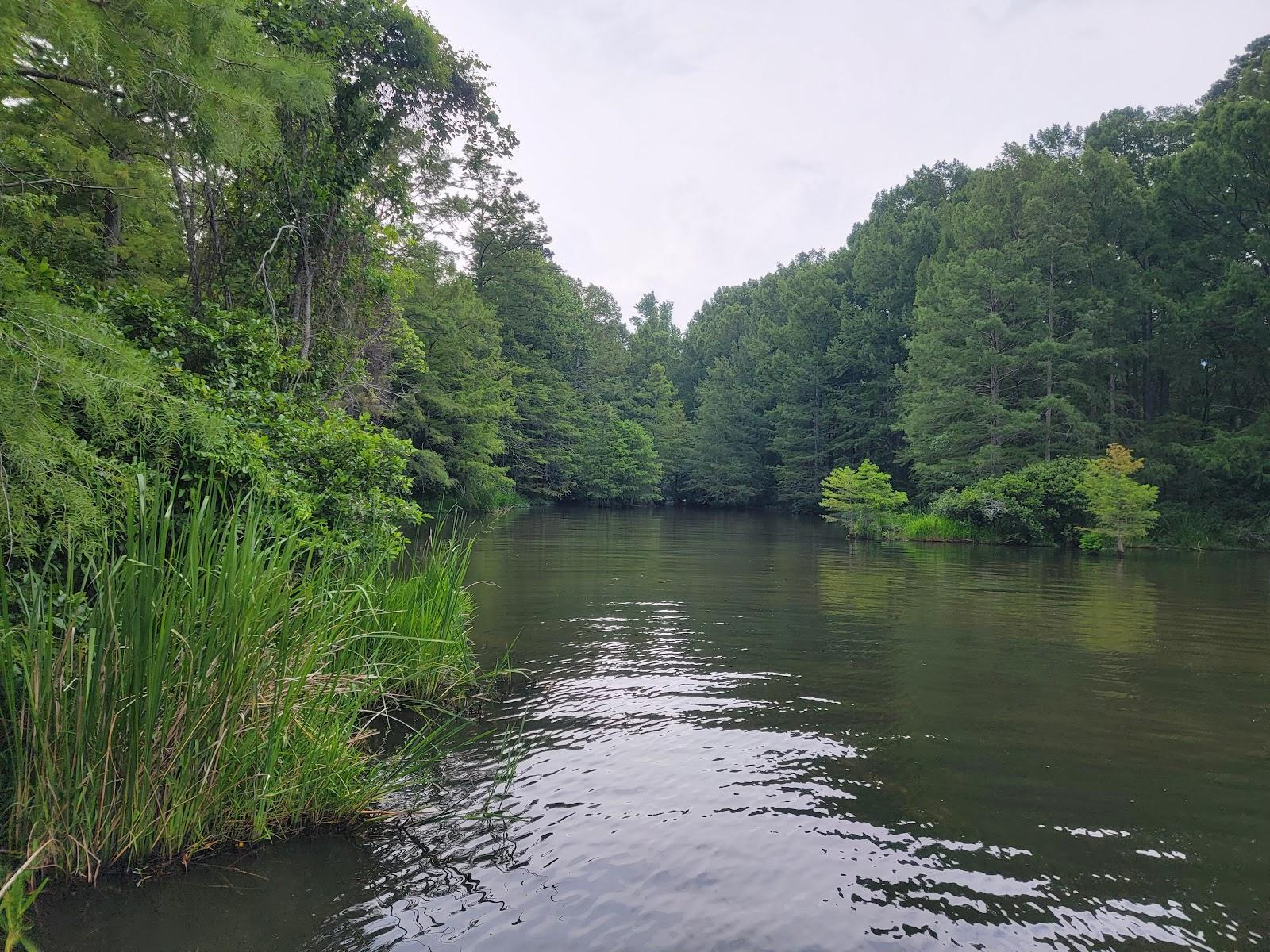 Sandee - Caney Lake Recreation Area