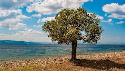 Sandee - Galataki Beach