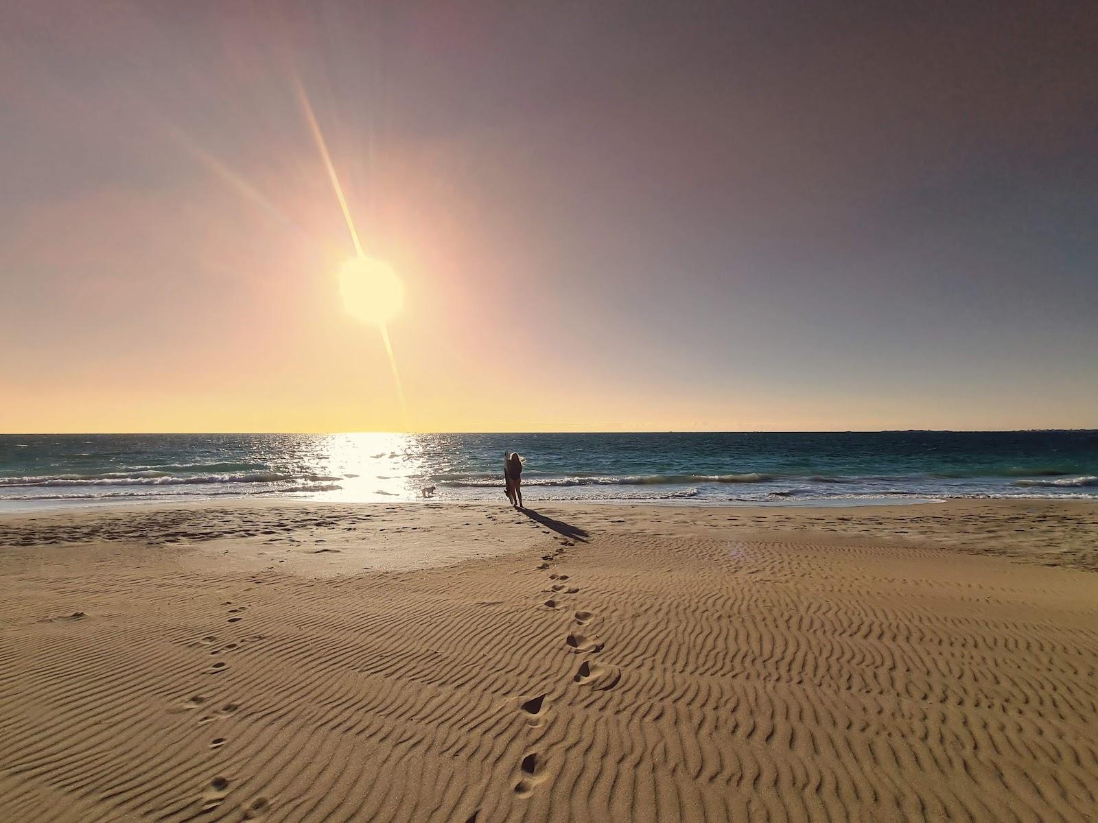 Sandee Warnbro Dog Beach Photo