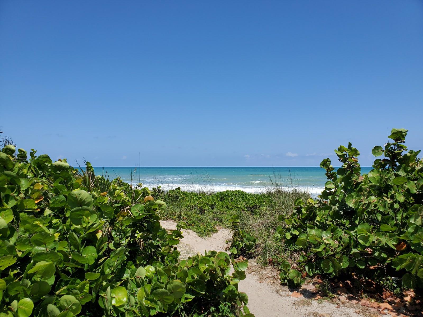 Sandee - Howard E. Futch Memorial Park At Paradise Beach