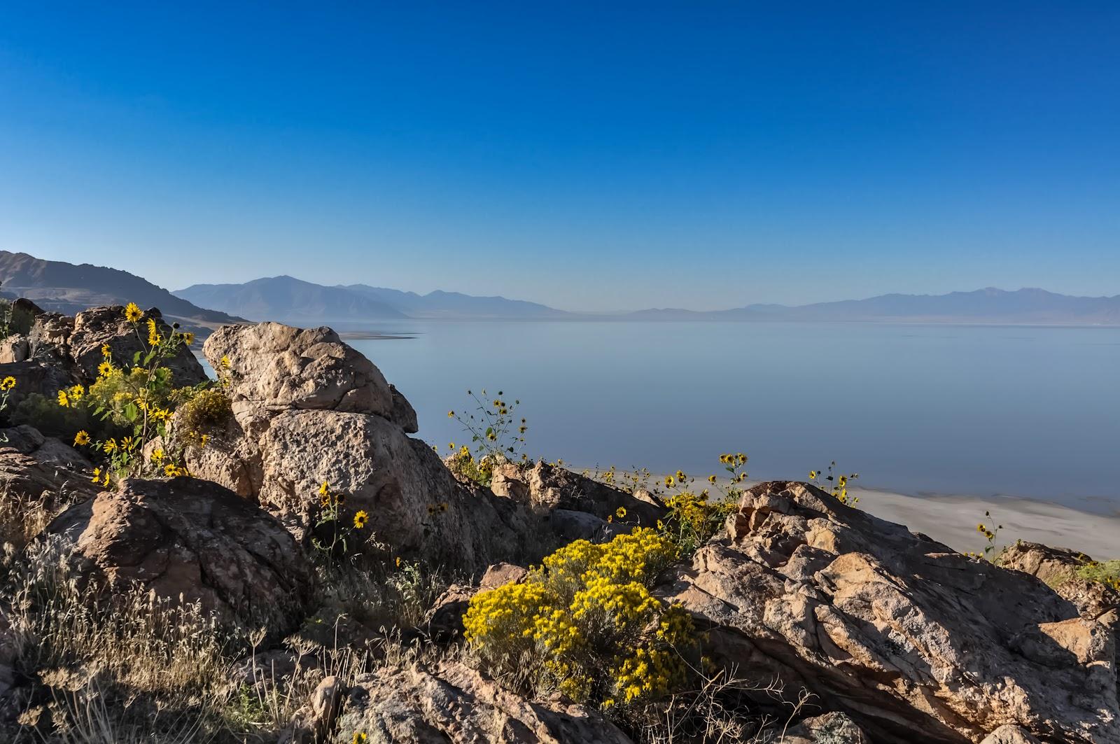 Sandee Ferron Reservoir Photo