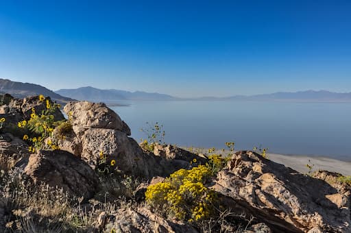 Sandee Ferron Reservoir Photo