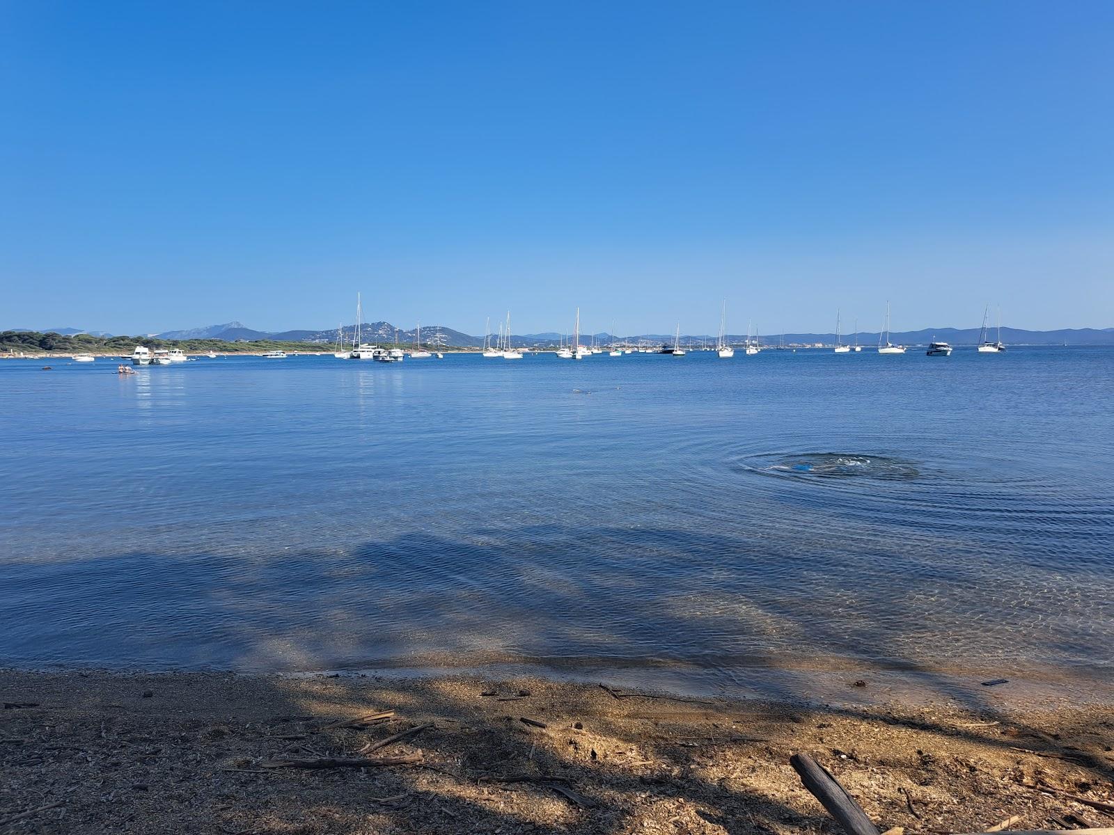 Sandee Plage Le Vieux Chene Photo