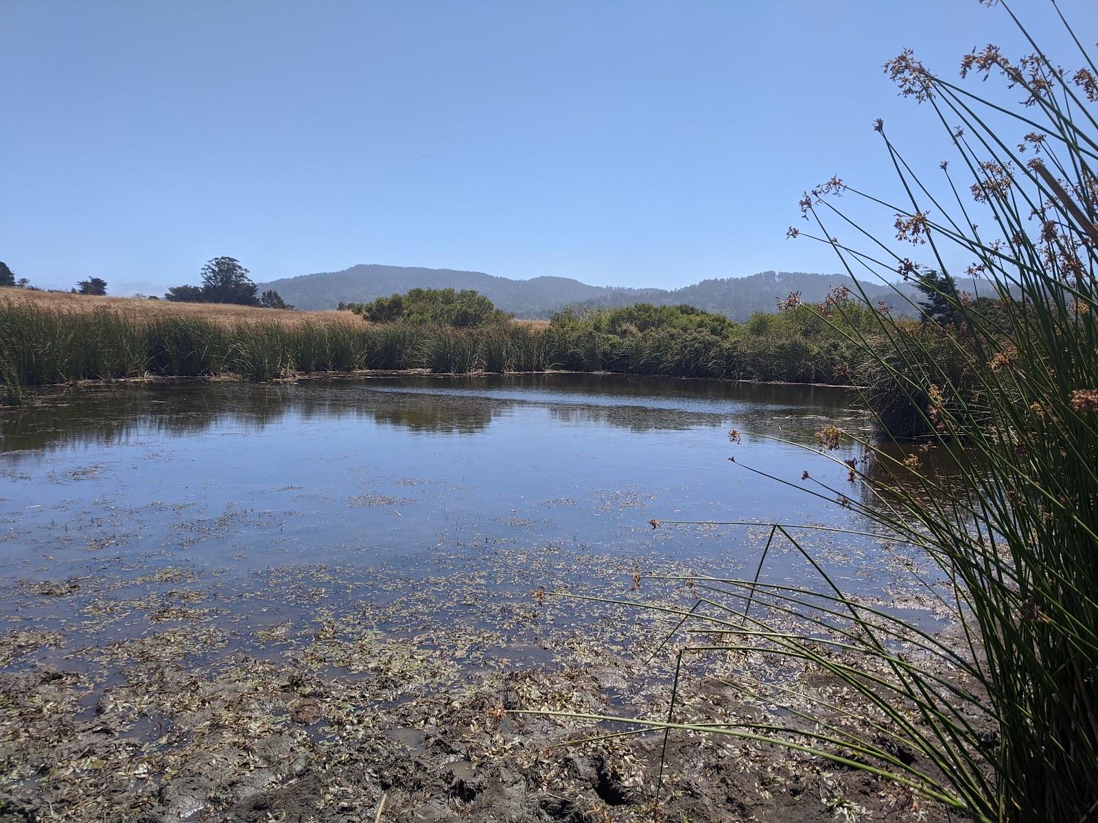 Sandee - Tomales Bay Trail