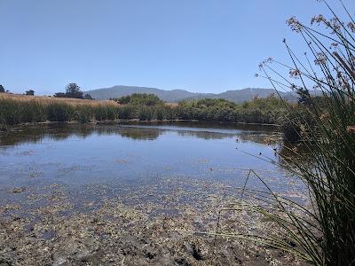 Sandee - Tomales Bay Trail