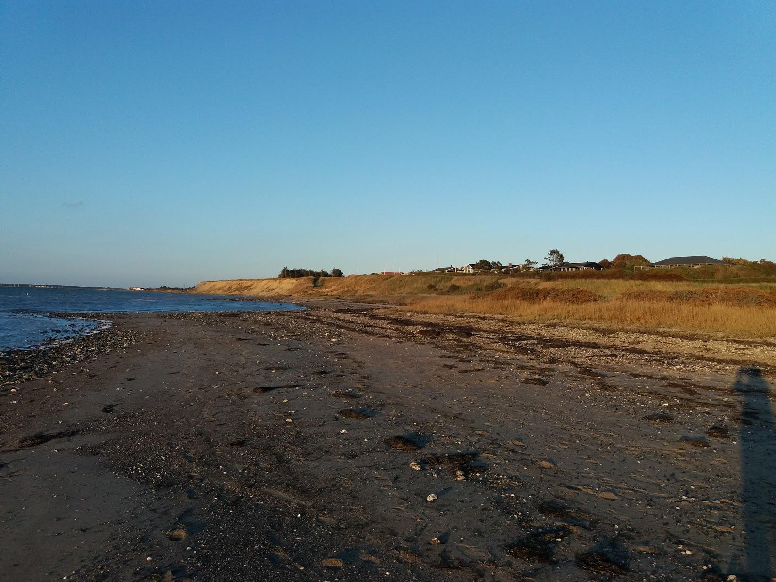 Sandee Livbjerggard Strand