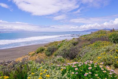 Sandee - Moonstone Beach