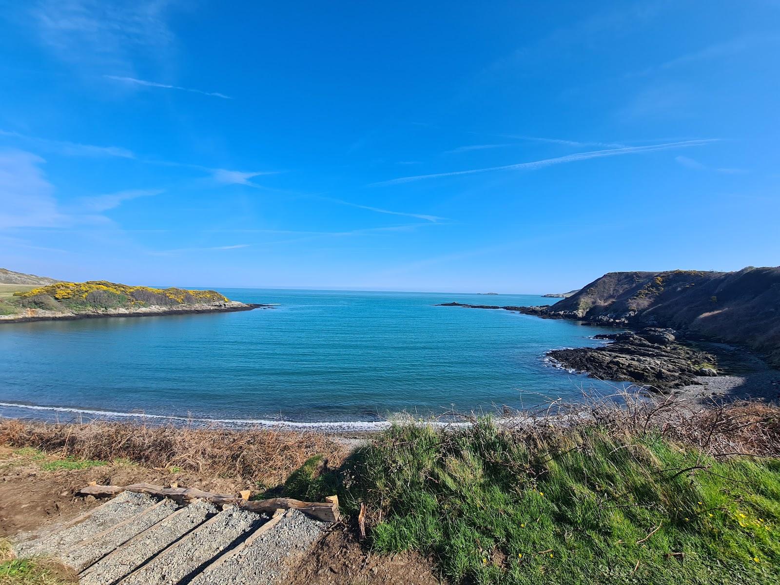 Sandee Porth Wylfa Beach Photo