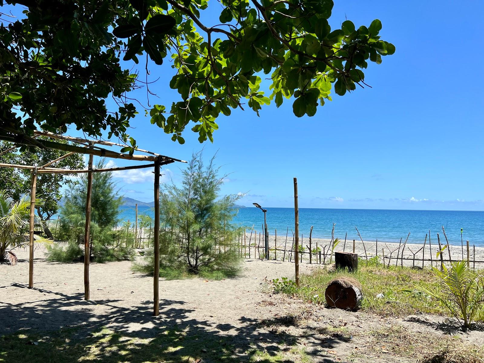 Sandee Bizarao Point Sand Beach Resort