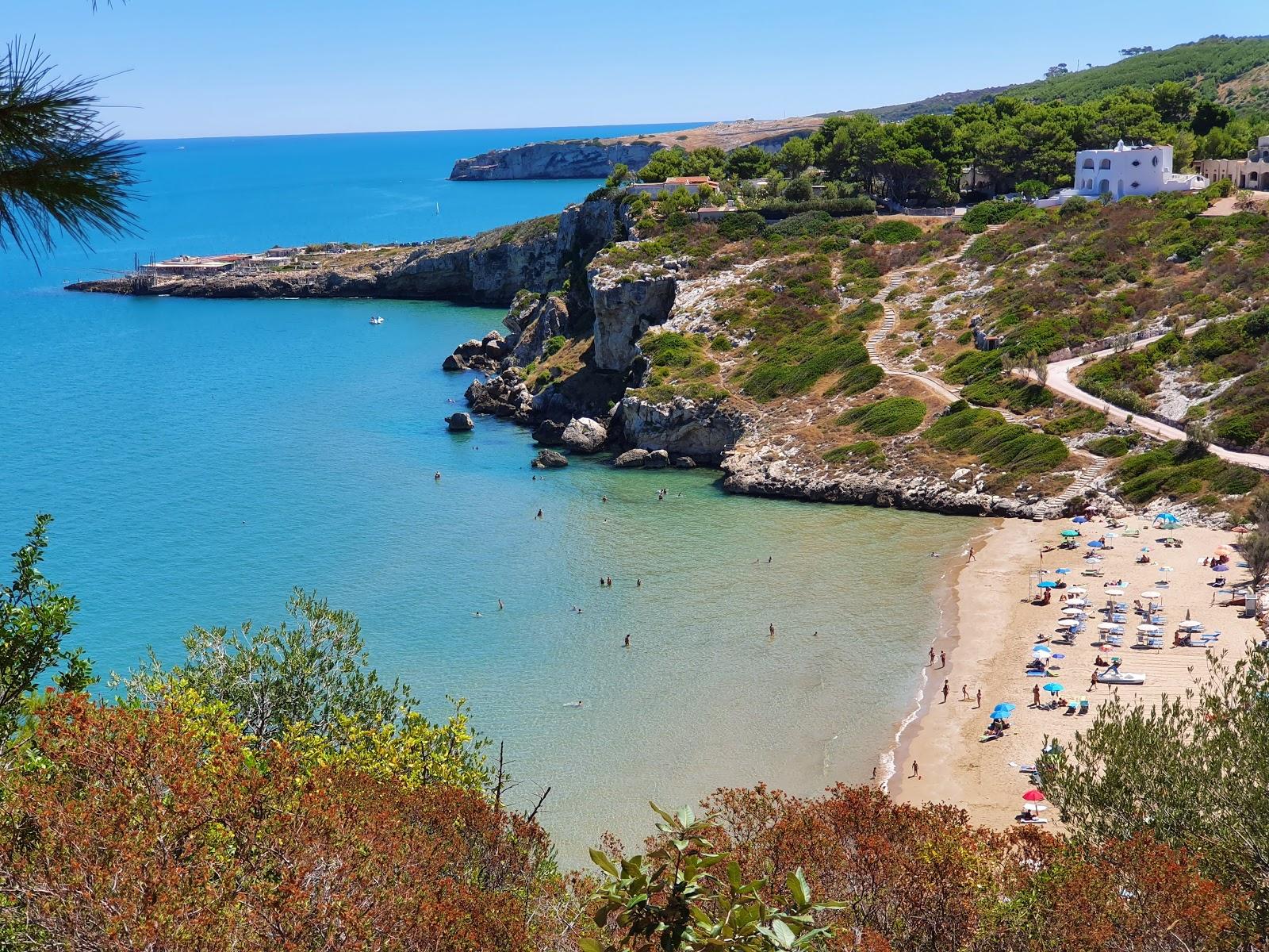 Sandee Spiaggia Di Procinisco