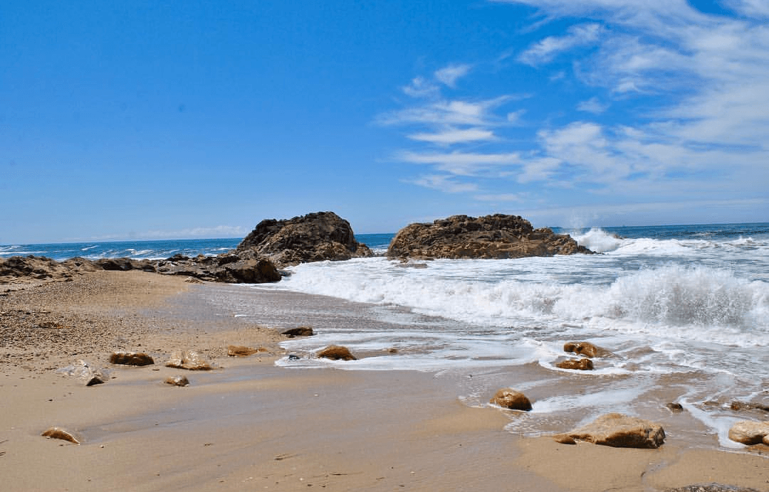 Sandee - Praia De Lavadores