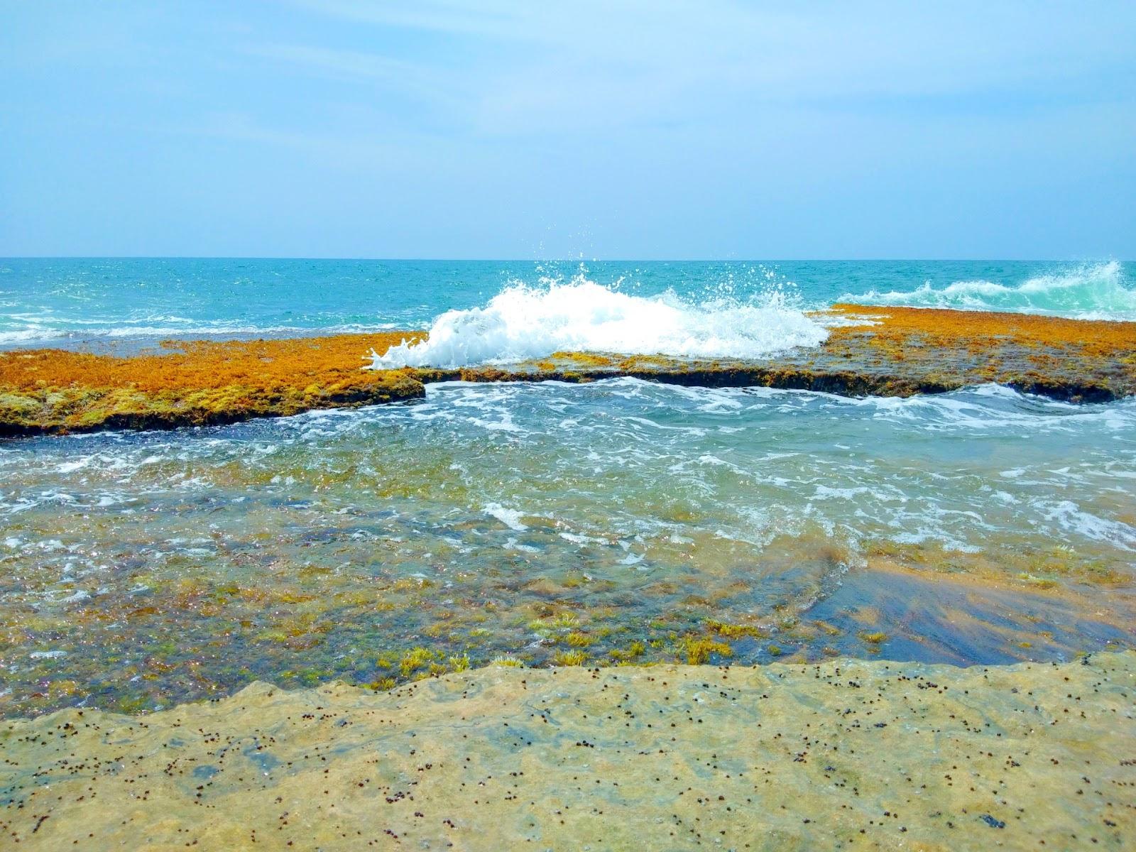 Sandee - Pamunugama Beach