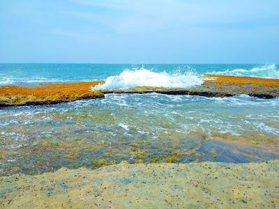 Sandee - Pamunugama Beach