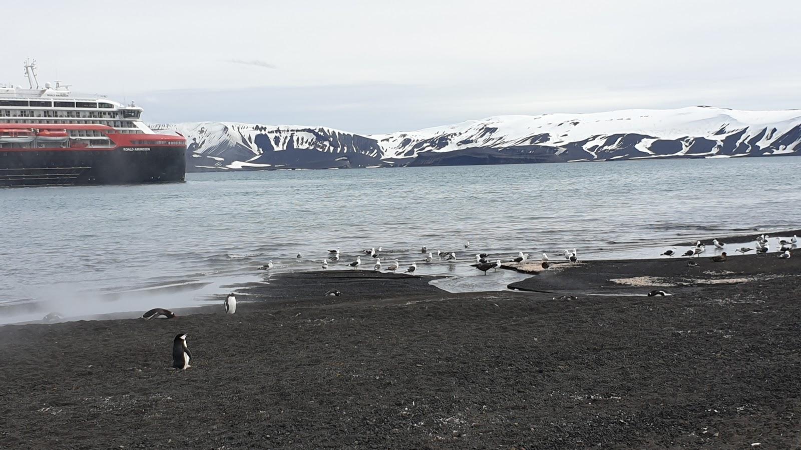 Sandee - Country / Deception Island