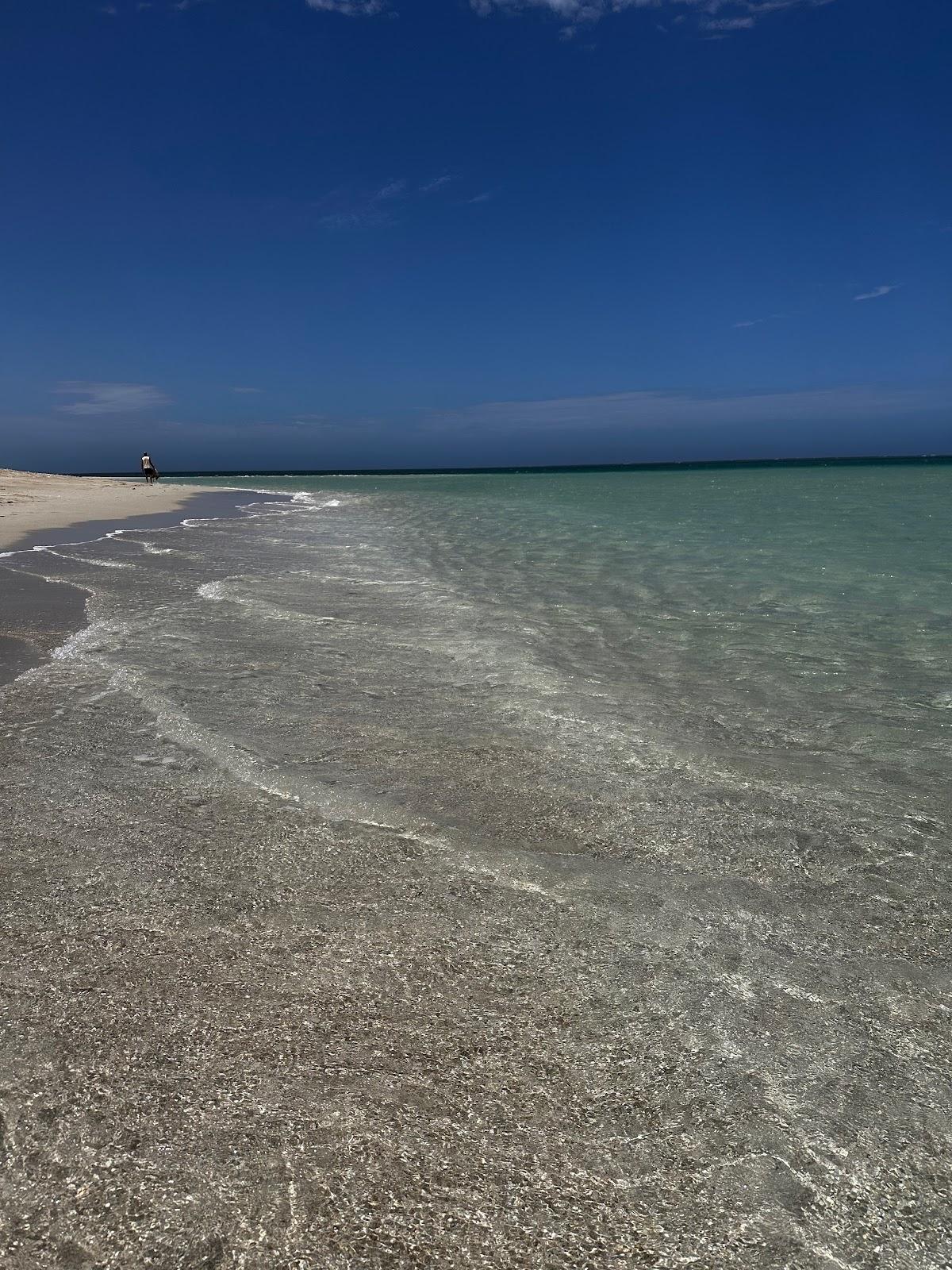 Sandee Skeleton Beach