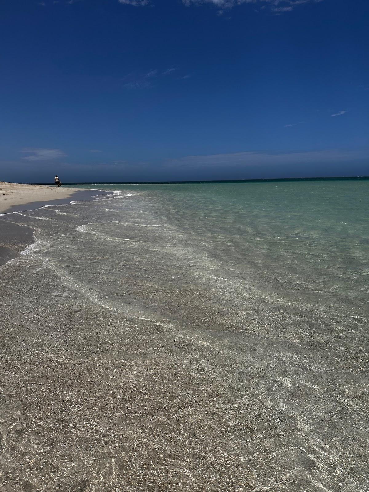 Sandee Skeleton Beach Photo