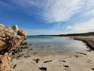 Sandee - Elliston Beach