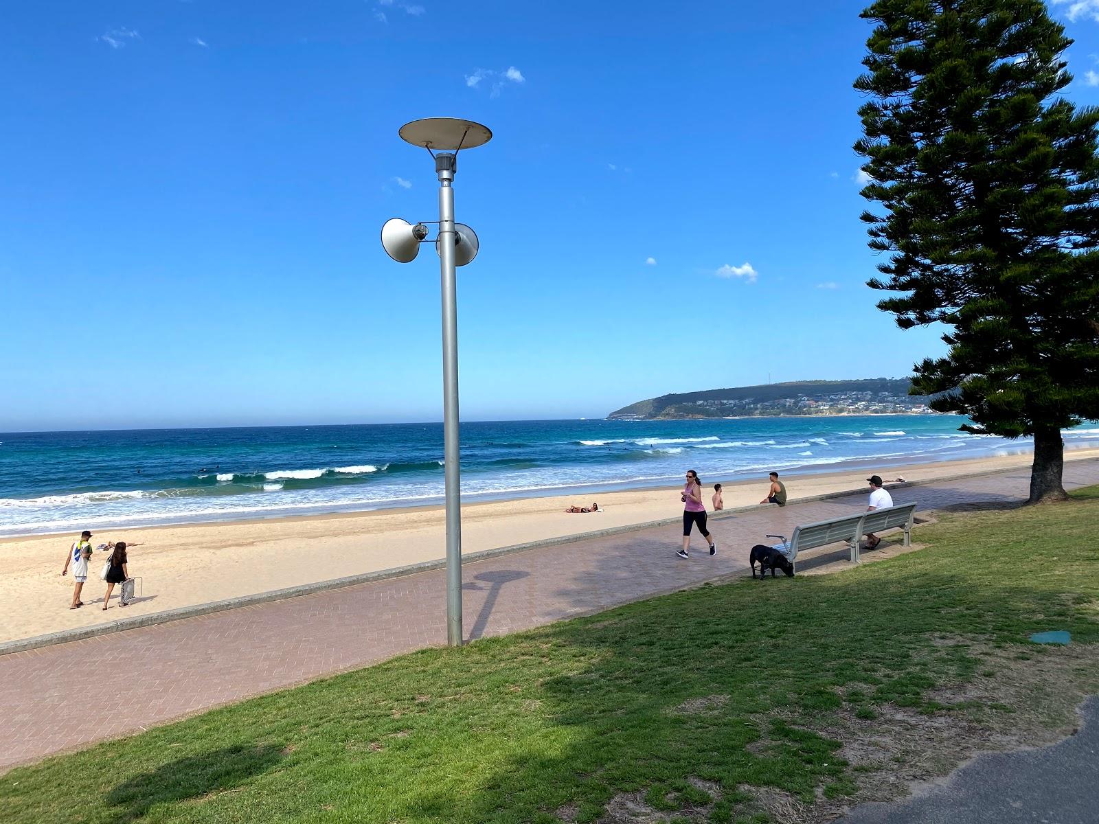 Sandee - North Steyne Beach