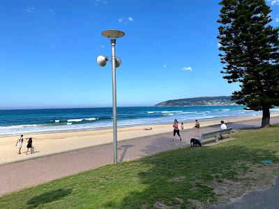 Sandee - North Steyne Beach