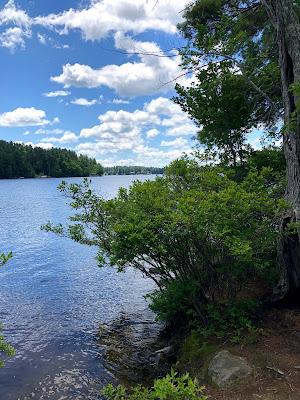 Sandee - Pawtuckaway State Park