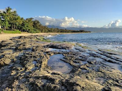 Sandee - Papailoa Beach