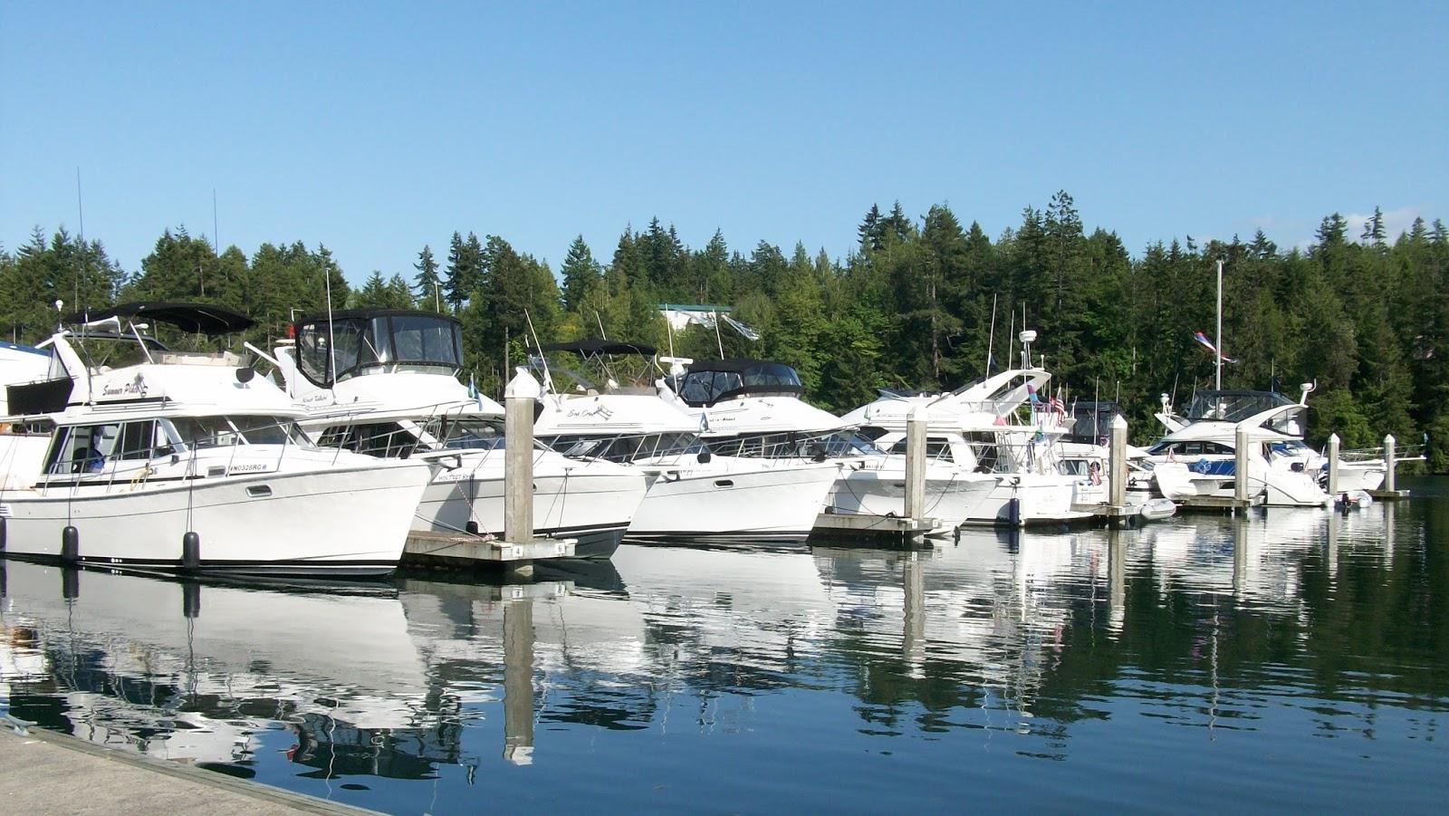 Sandee Pleasant Harbor Marina Photo