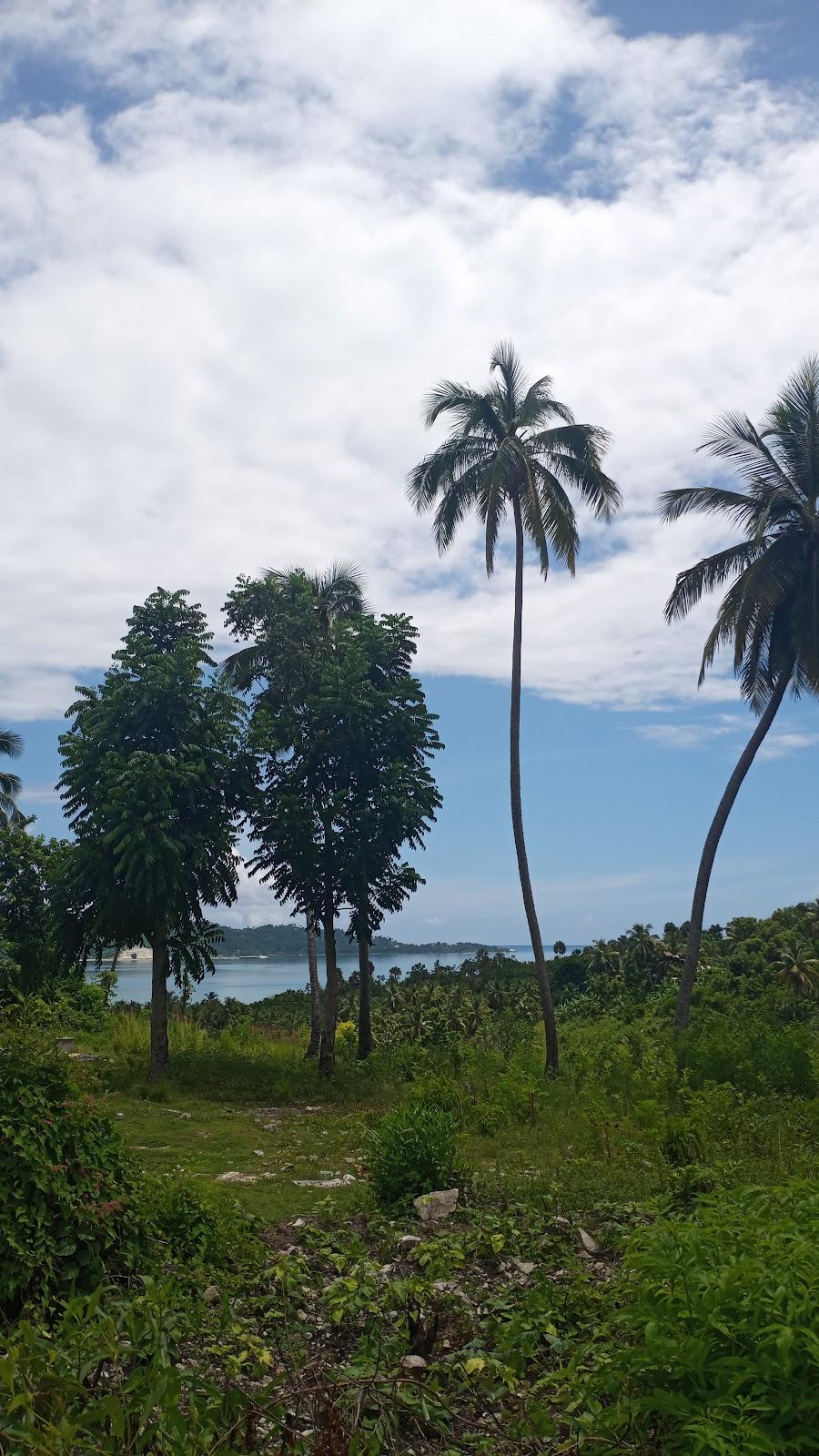 Sandee Baie Du Mesle Beach