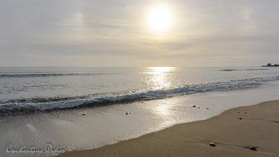 Sandee - Bonnet Shores Beach